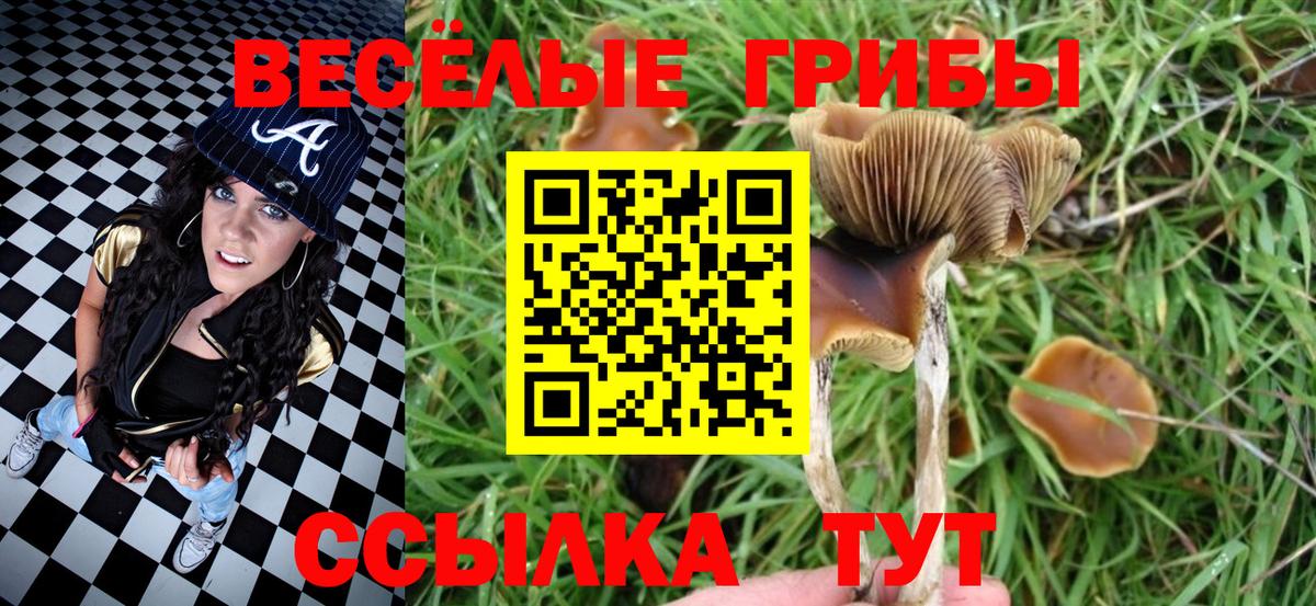 Ростов-на-Дону  Псилоцибиновые грибы Magic Shrooms  Вход с VPN 